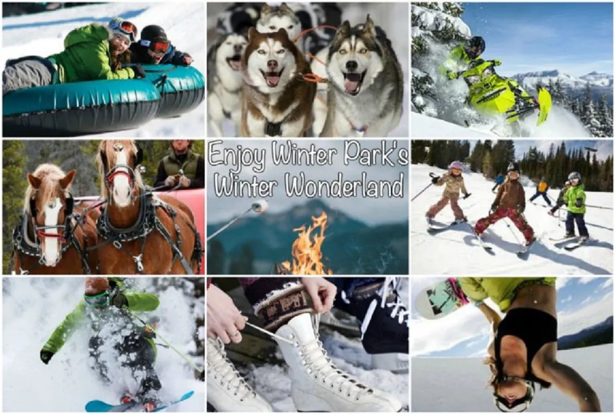 This lively exterior image features people tubing down snowy hills, huskies ready for dog sledding, snowmobiles, a horse-drawn sleigh, skiers and children playing in the snow, plus visible skis and ice skates in the scene. The atmosphere is joyful and bustling, capturing a wide range of winter activities for families and adventure seekers.